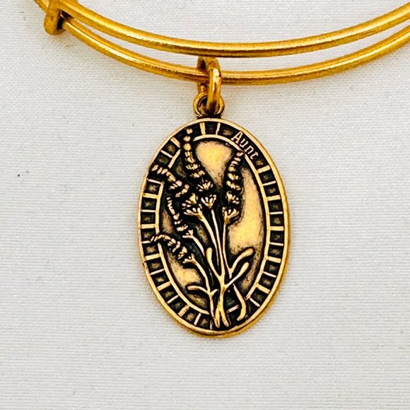 Alex and Ani Because I love you "Aunt" Bracelet w/Lavender Charm- NWT - Picture 3 of 7